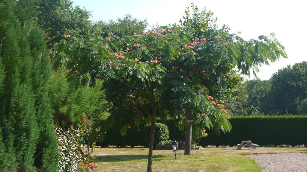 Chambres D'Hotes Les Sageais Baguer-Morvan Bagian luar foto